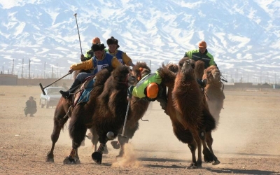 Культура и спорт: о «Фестивале десяти тысяч верблюдов» в Монголии